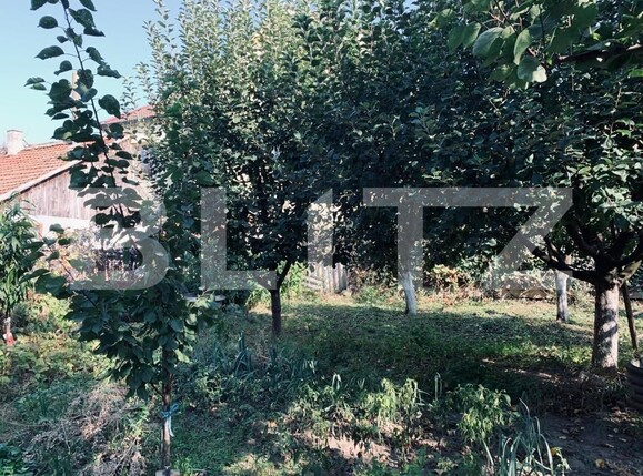 Casa de vânzare 3 camere Ghirodei - 128668CV | BLITZ Timișoara | Poza4