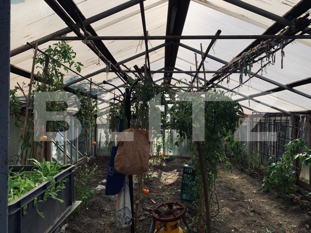 Casa de vânzare 3 camere Ghirodei - 128668CV | BLITZ Timișoara | Poza6