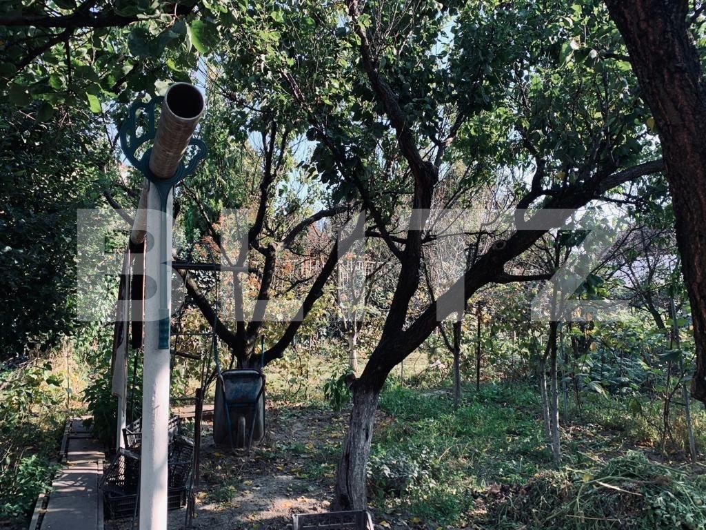 Casa de vânzare 3 camere Ghirodei - 128668CV | BLITZ Timișoara | Poza5