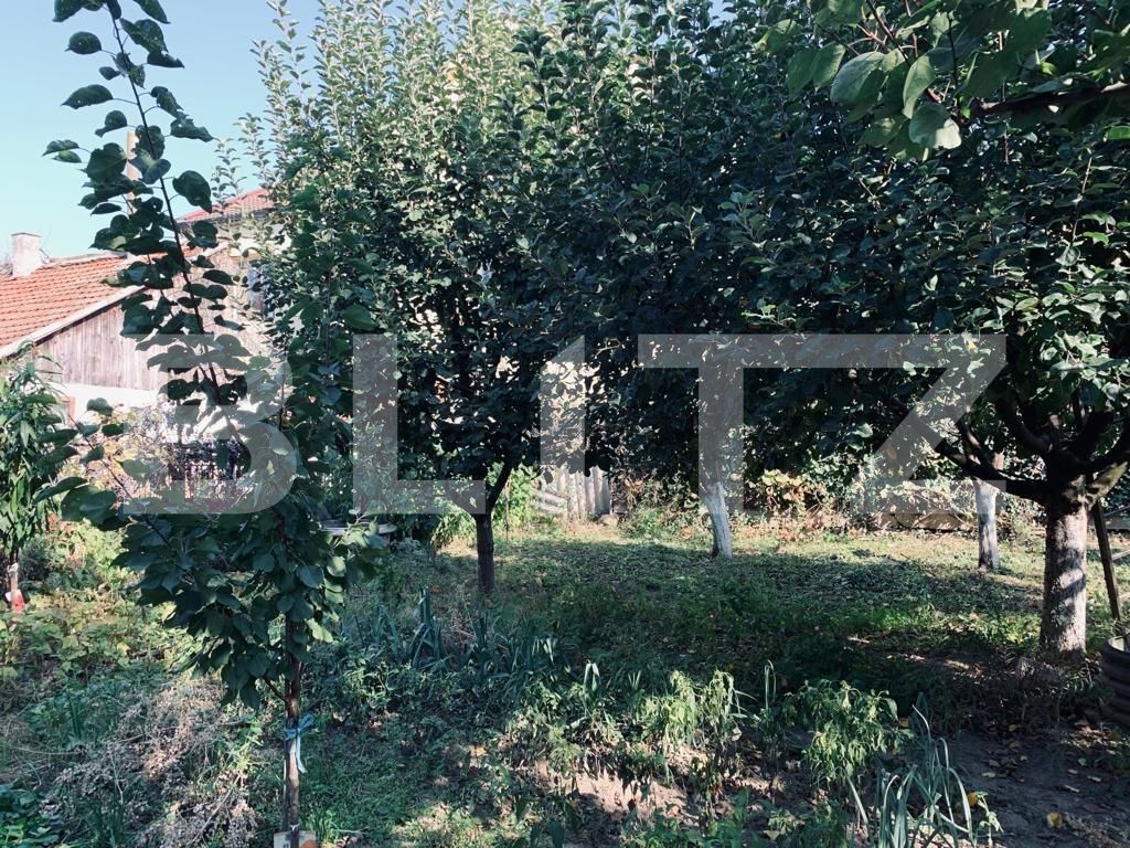 Casa de vânzare 3 camere Ghirodei - 128668CV | BLITZ Timișoara | Poza4