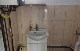 Spatiu comercial, SAD, 50 mp, Elizabetin