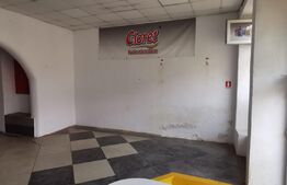 Spatiu comercial, SAD, 50 mp, Elizabetin