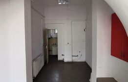 Spatiu comercial, SAD, 50 mp, Elizabetin