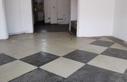 Spatiu comercial, SAD, 50 mp, Elizabetin