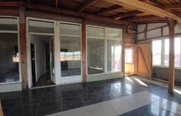 Oportunitate! Casa P+1+M, 400 mp, 9 camere, zona Mehala