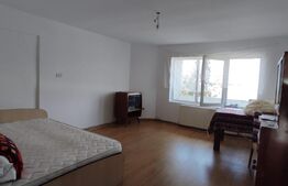 Oportunitate! Casa P+1+M, 400 mp, 9 camere, zona Mehala
