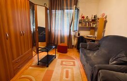 Garsoniera, 22mp, zona Buziasului