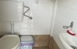 Casa individuala, 5 camere, 130 mp utili, 1226 mp teren, Giarmata