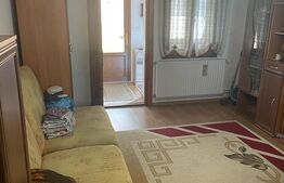 Casa individuala, 5 camere, 130 mp utili, 1226 mp teren, Giarmata