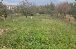 Casa individuala, 5 camere, 130 mp utili, 1226 mp teren, Giarmata