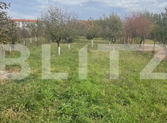 Casa de vânzare 5 camere Giarmata - 128967CV | BLITZ Timișoara | Poza18