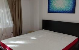 Apartament 2 camere, 45mp, decomandat, renovat, zona Complexul Studentesc