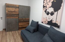 Apartament 2 camere, 45mp, decomandat, renovat, zona Complexul Studentesc