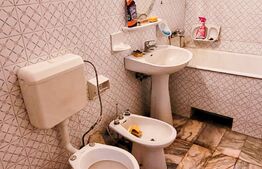 Casă individuala, 4 camere, 120 mp, parter, St = 270 mp, Girocului