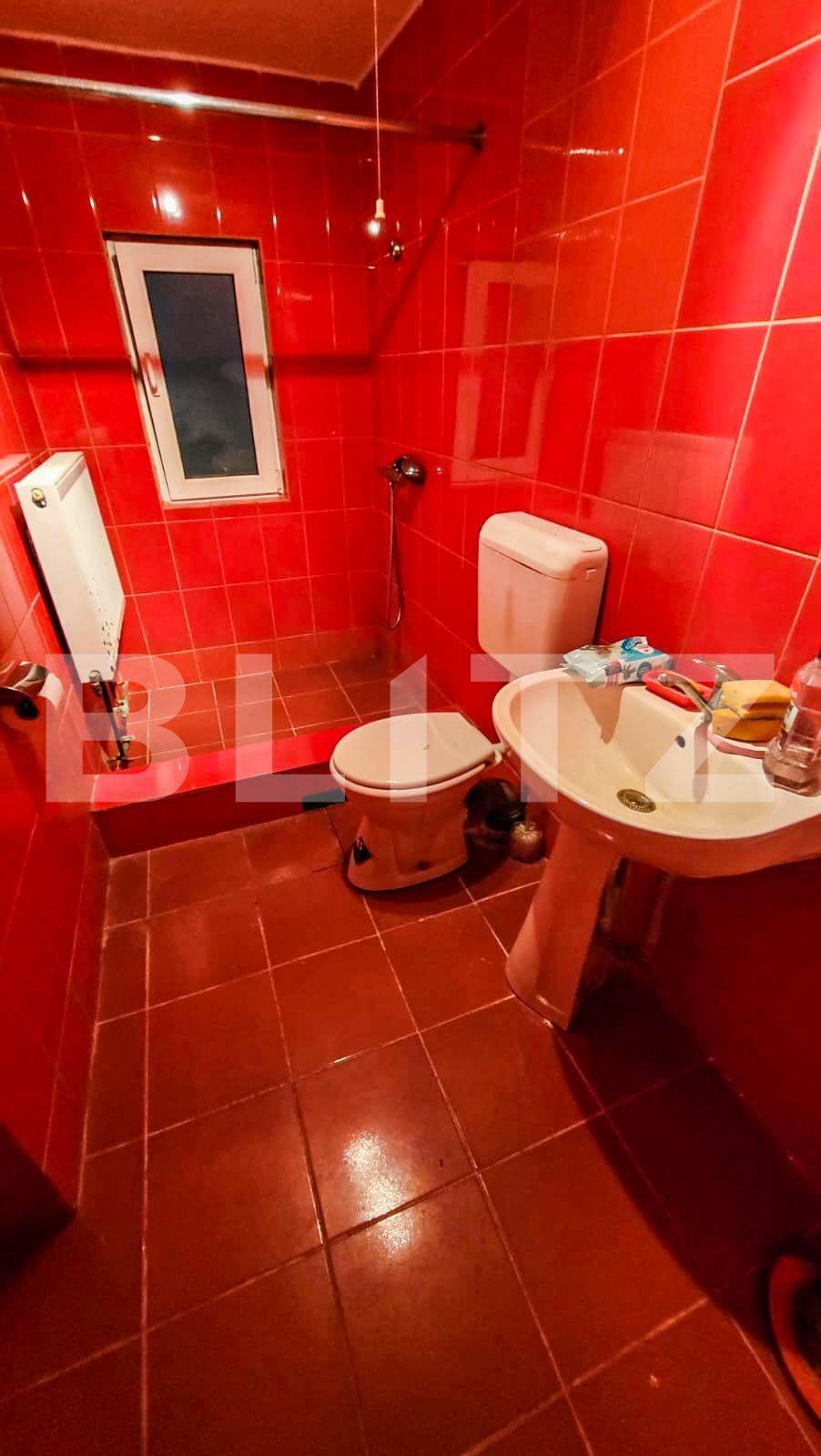 Casa de vânzare 4 camere Girocului - 129034CV | BLITZ Timișoara | Poza6