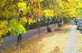 Ocazie! Apartament 3 camere, parter, 65mp, Iulius Town