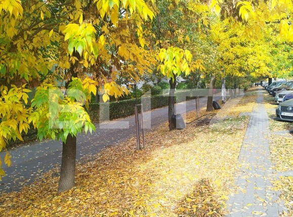 Apartament de vânzare 3 camere Torontalului - 129124AV | BLITZ Timișoara | Poza8