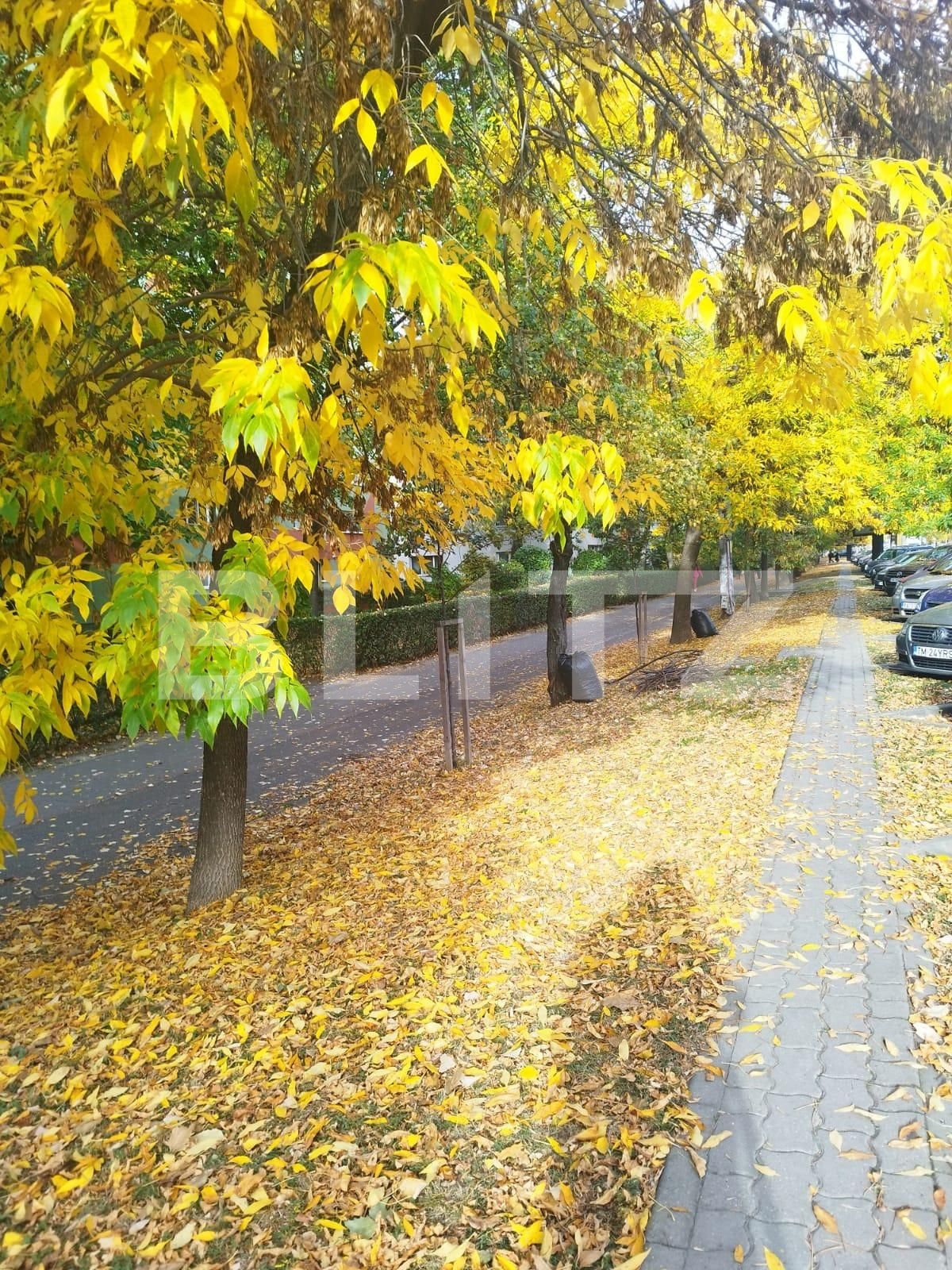 Apartament de vânzare 3 camere Torontalului - 129124AV | BLITZ Timișoara | Poza8