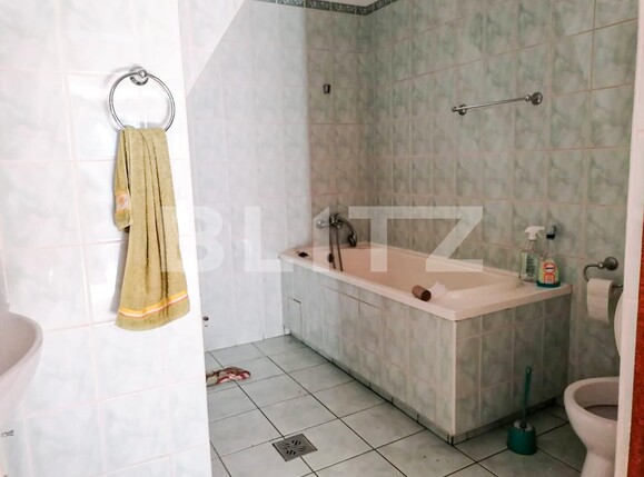 Casa de vânzare 4 camere Elisabetin - 129286CV | BLITZ Timișoara | Poza10