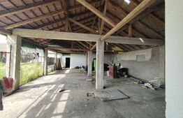 Teren intravilan, arabil, 39 ha, Sanmartinul Sarbesc