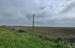 Teren intravilan, arabil, 39 ha, Sanmartinul Sarbesc