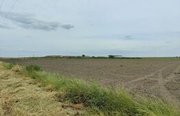 Teren intravilan, arabil, 39 ha, Sanmartinul Sarbesc