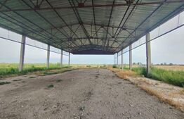 Teren intravilan, arabil, 39 ha, Sanmartinul Sarbesc