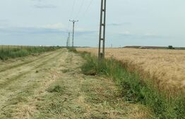 Teren intravilan, arabil, 39 ha, Sanmartinul Sarbesc