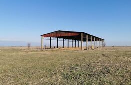 Teren intravilan, arabil, 39 ha, Sanmartinul Sarbesc