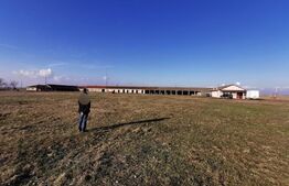 Teren intravilan, arabil, 39 ha, Sanmartinul Sarbesc