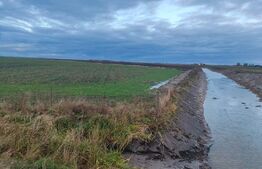 Teren intravilan, arabil, 39 ha, Sanmartinul Sarbesc