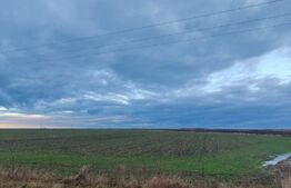 Teren intravilan, arabil, 39 ha, Sanmartinul Sarbesc