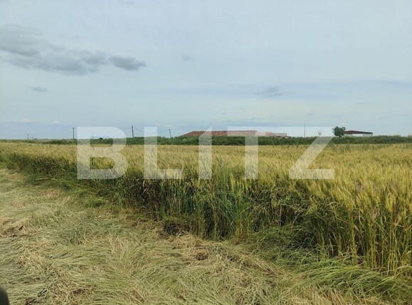 Teren de vânzare Exterior Sud - 129368TV | BLITZ Timișoara | Poza3