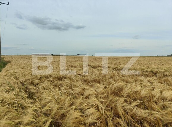 Teren de vânzare Exterior Sud - 129368TV | BLITZ Timișoara | Poza8