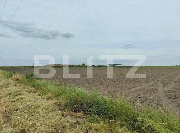 Teren de vânzare Exterior Sud - 129368TV | BLITZ Timișoara | Poza5