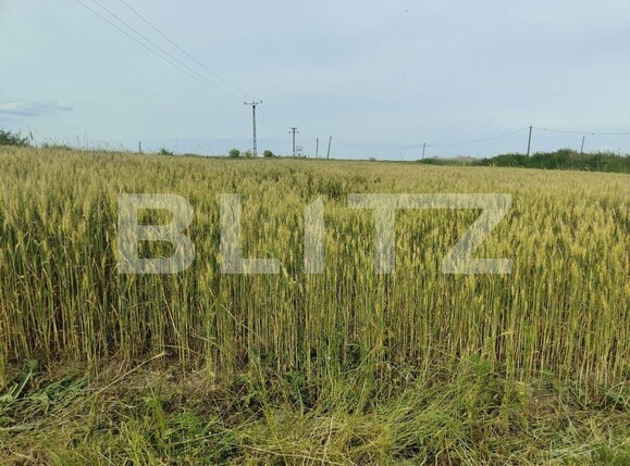 Teren de vânzare Exterior Sud - 129368TV | BLITZ Timișoara | Poza14