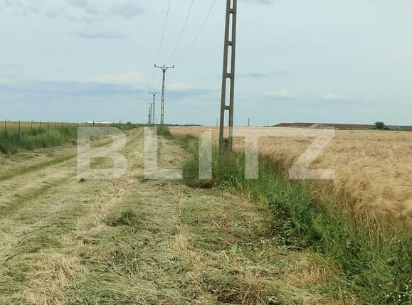 Teren de vânzare Exterior Sud - 129368TV | BLITZ Timișoara | Poza4