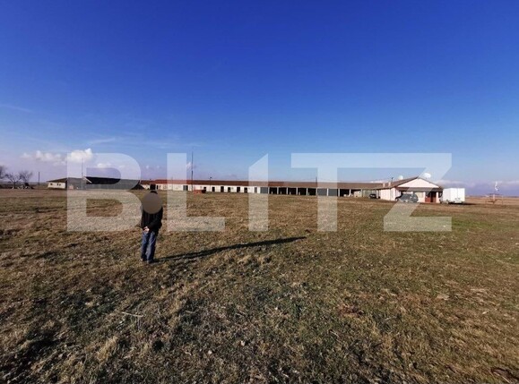 Teren de vânzare Exterior Sud - 129368TV | BLITZ Timișoara | Poza1