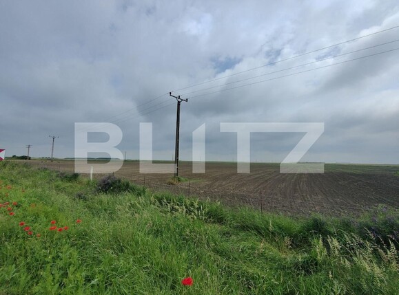 Teren de vânzare Exterior Sud - 129368TV | BLITZ Timișoara | Poza20