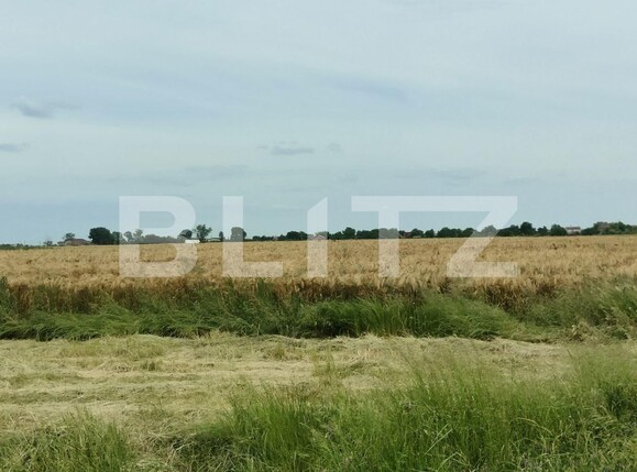 Teren de vânzare Exterior Sud - 129368TV | BLITZ Timișoara | Poza7