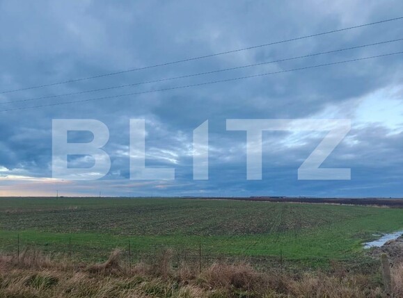 Teren de vânzare Exterior Sud - 129368TV | BLITZ Timișoara | Poza19