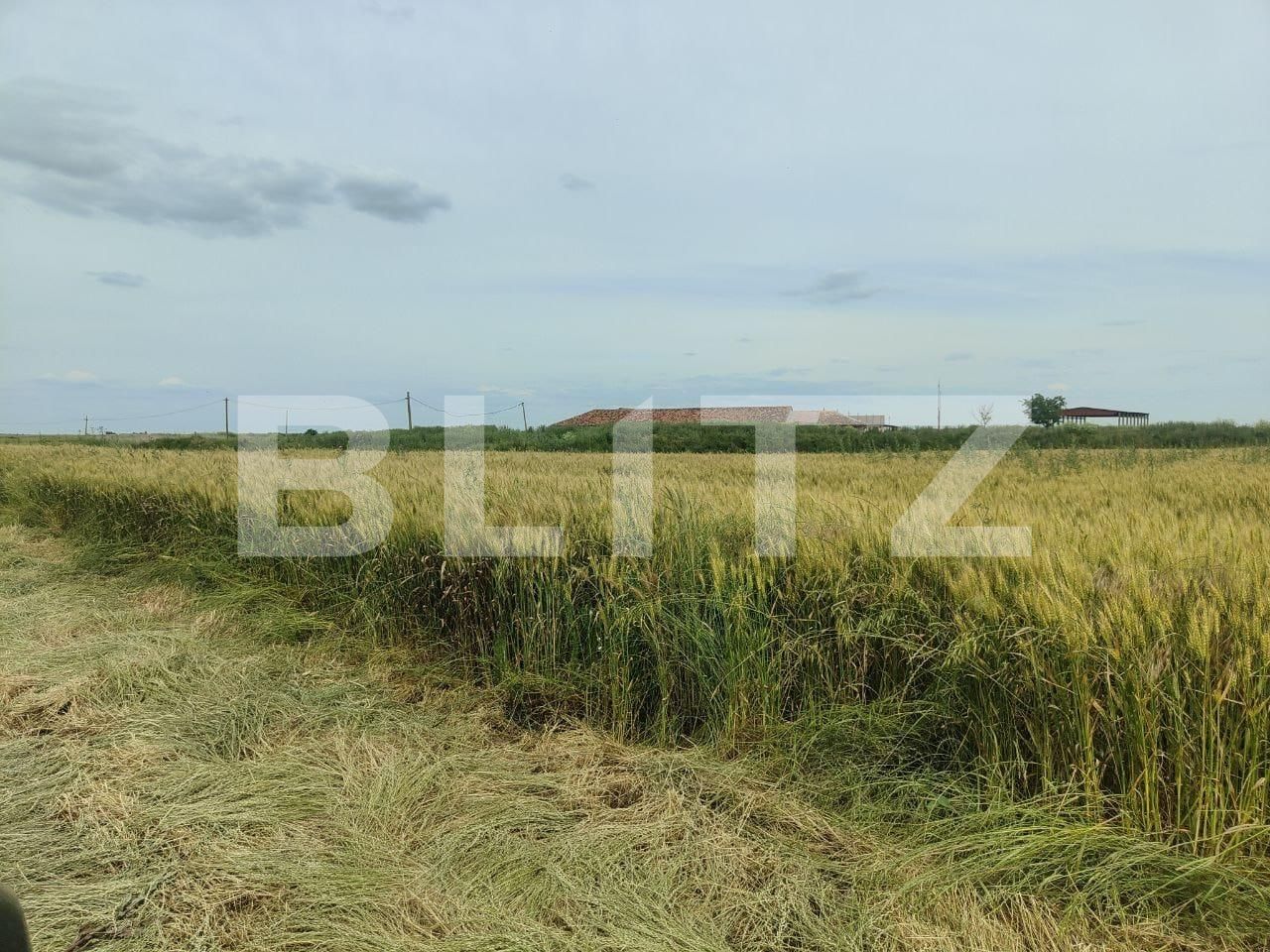 Teren de vânzare Exterior Sud - 129368TV | BLITZ Timișoara | Poza3