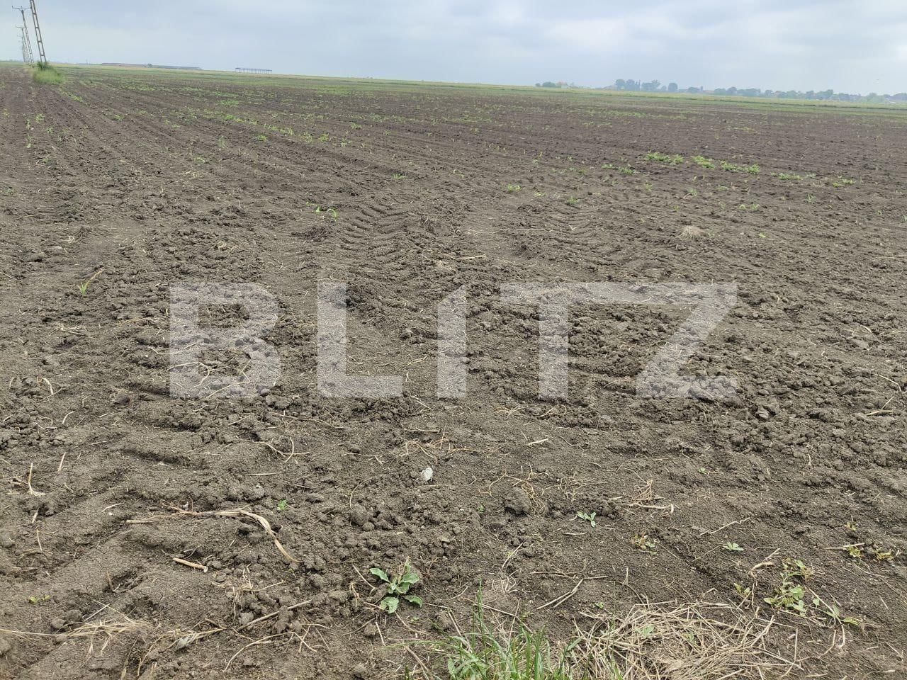 Teren de vânzare Exterior Sud - 129368TV | BLITZ Timișoara | Poza9