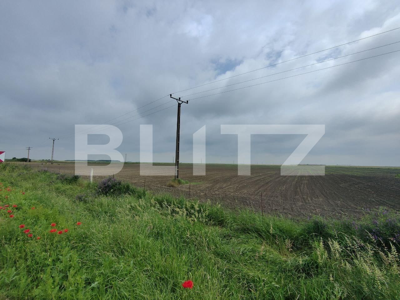 Teren de vânzare Exterior Sud - 129368TV | BLITZ Timișoara | Poza15