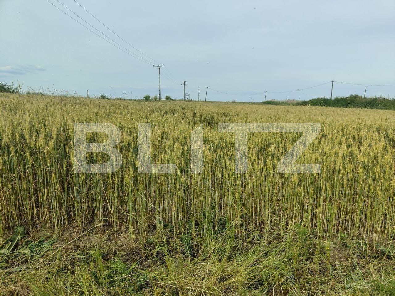 Teren de vânzare Exterior Sud - 129368TV | BLITZ Timișoara | Poza14