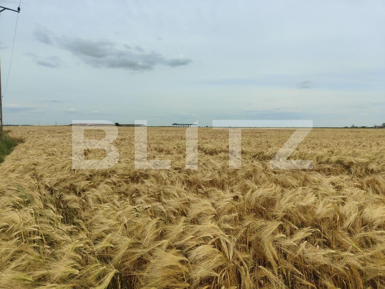 Teren de vânzare Exterior Sud - 129368TV | BLITZ Timișoara | Poza13