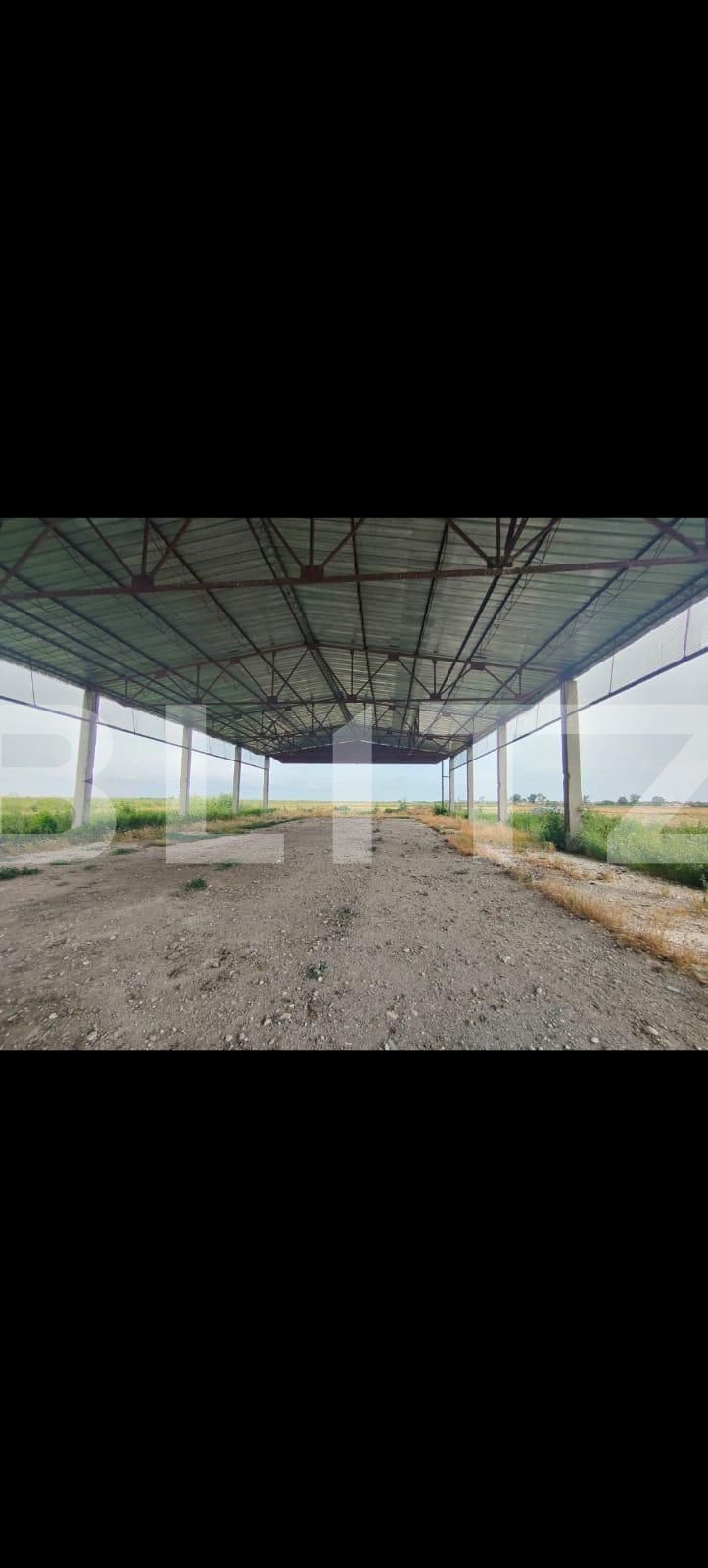 Teren de vânzare Exterior Sud - 129368TV | BLITZ Timișoara | Poza6