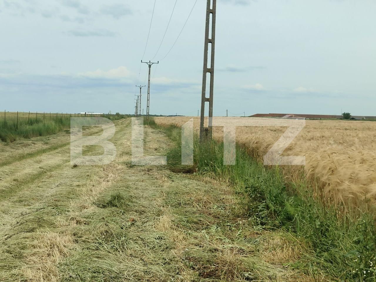 Teren de vânzare Exterior Sud - 129368TV | BLITZ Timișoara | Poza4