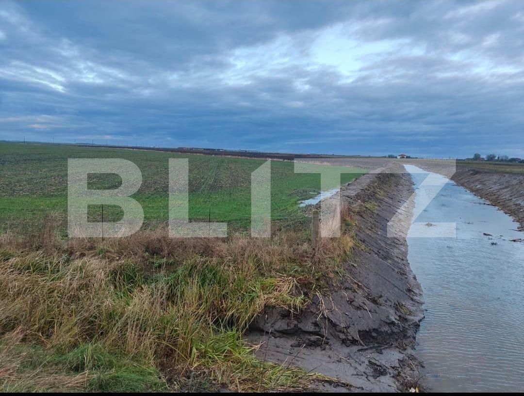 Teren de vânzare Exterior Sud - 129368TV | BLITZ Timișoara | Poza23