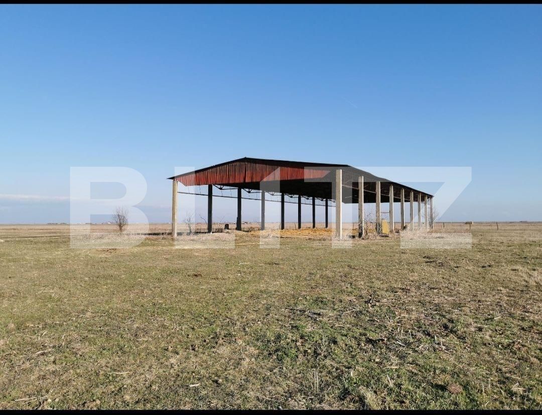 Teren de vânzare Exterior Sud - 129368TV | BLITZ Timișoara | Poza2